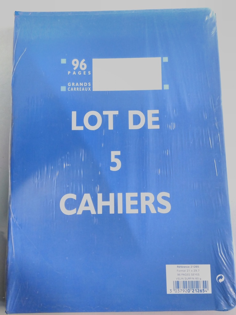 Lot de 5 cahiers 96 pages