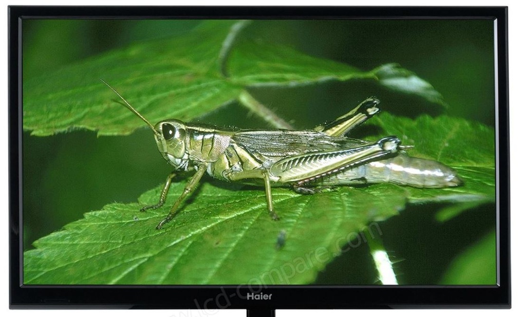 Télé Philips 81cm LCD